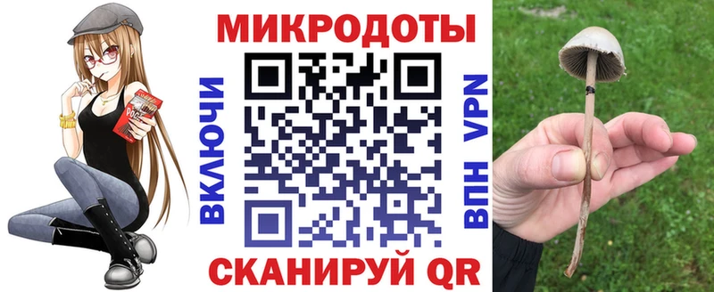 Галлюциногенные грибы Psilocybine cubensis  Купить  Балашов 