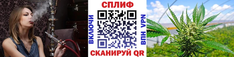 Бошки марихуана AK-47  Купить закладки  Балашов 